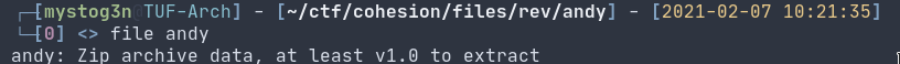 Reverse Engineering Challenges - Cohesion Writeups 12
