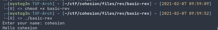 Reverse Engineering Challenges - Cohesion Writeups 4