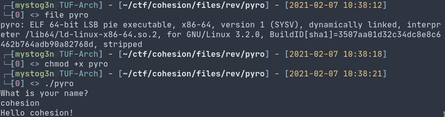 Reverse Engineering Challenges - Cohesion Writeups 19