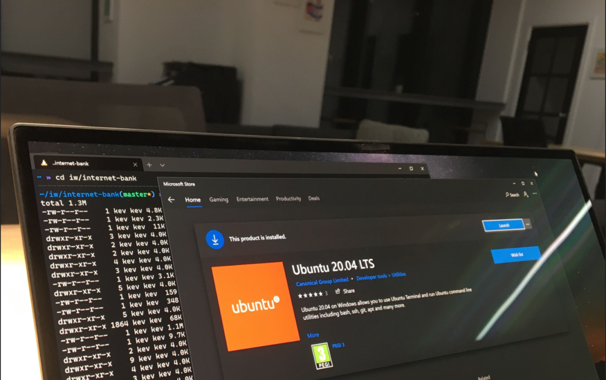 Enabling GUI support in WSL2: Kick off! Vmware