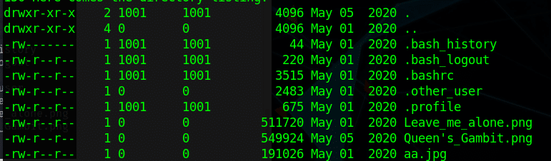 Lian_Yu: TryHackme Walkthrough 14 FTP loggin