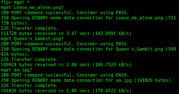 Lian_Yu: TryHackme Walkthrough 15 FTP logged in