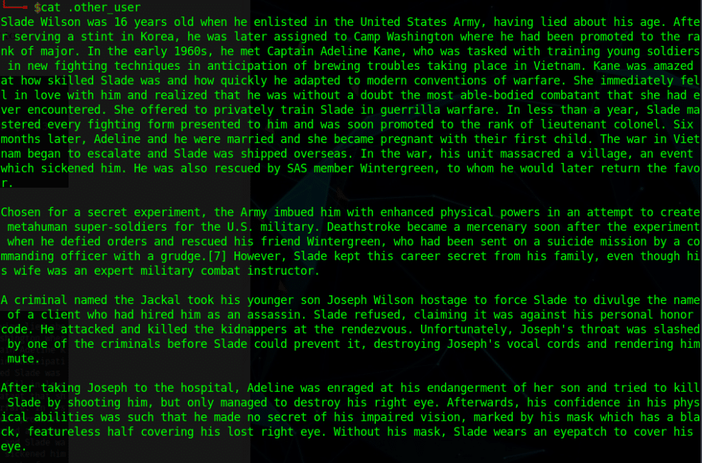 Lian_Yu: TryHackme Walkthrough 16 other user command